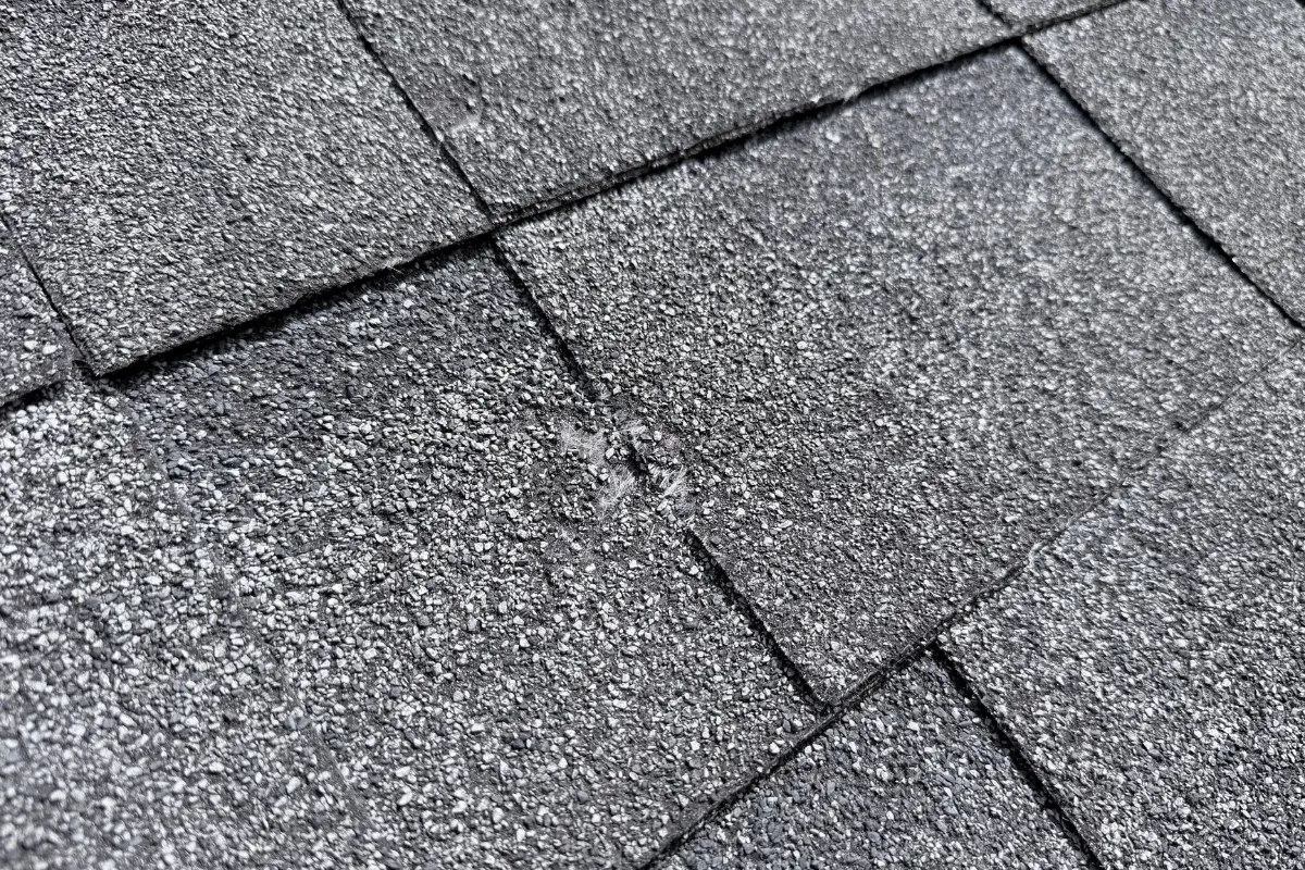 A weathered shingle showing a crater of crushed granules from an older hail impact.