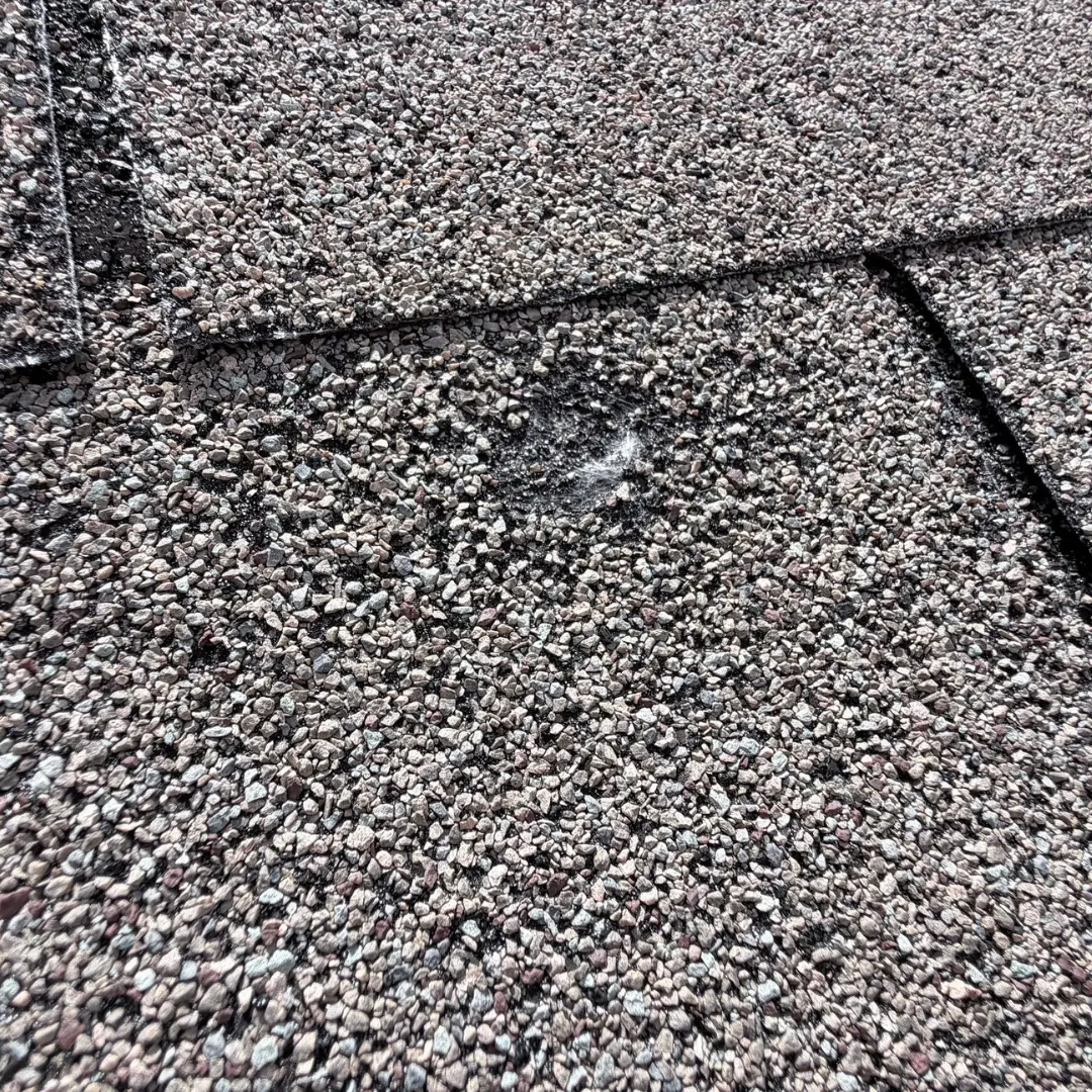 A circular impact mark on a shingle where granules have been knocked away, exposing the black asphalt beneath.