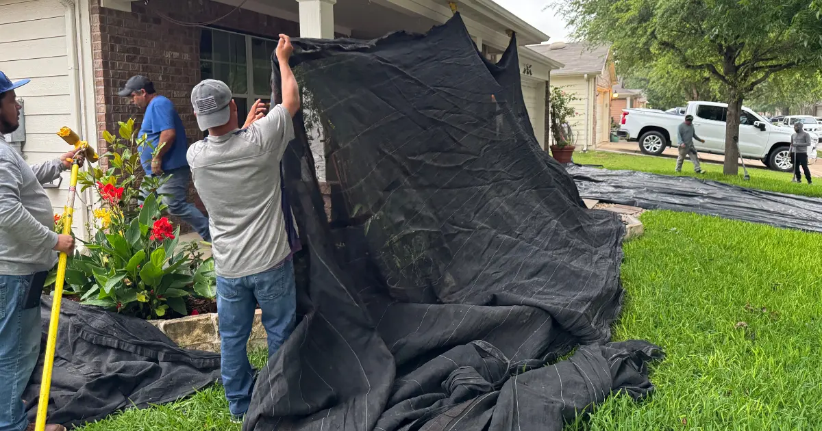 Netting secured over flower beds and shrubs at the base of a house.