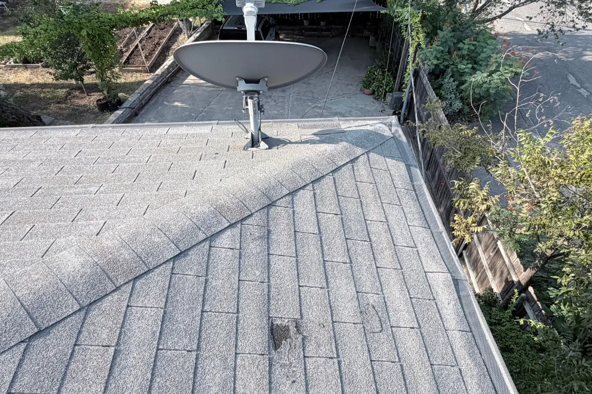Missing shingles on a 3-tab roof exposing the underlayment