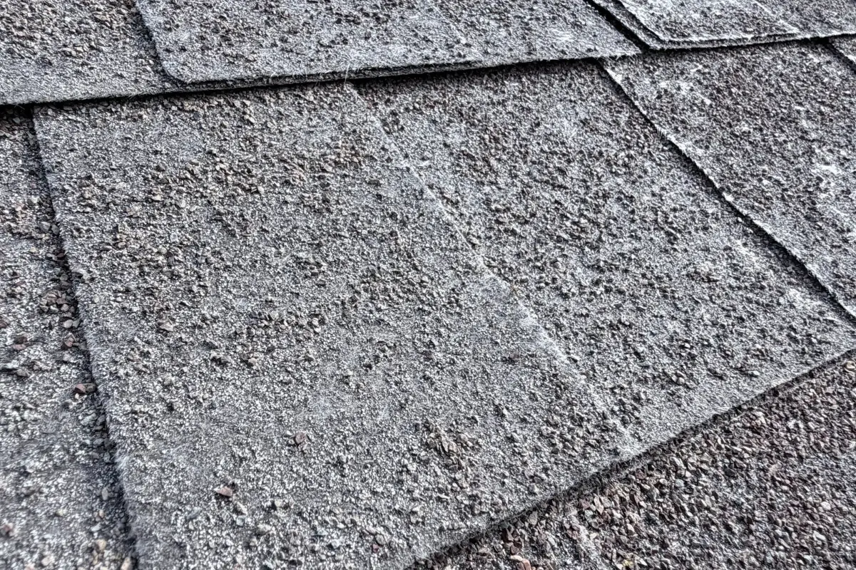 Shingles with heavy granule loss and exposed fiberglass mat on a Bergheim, TX roof before replacement