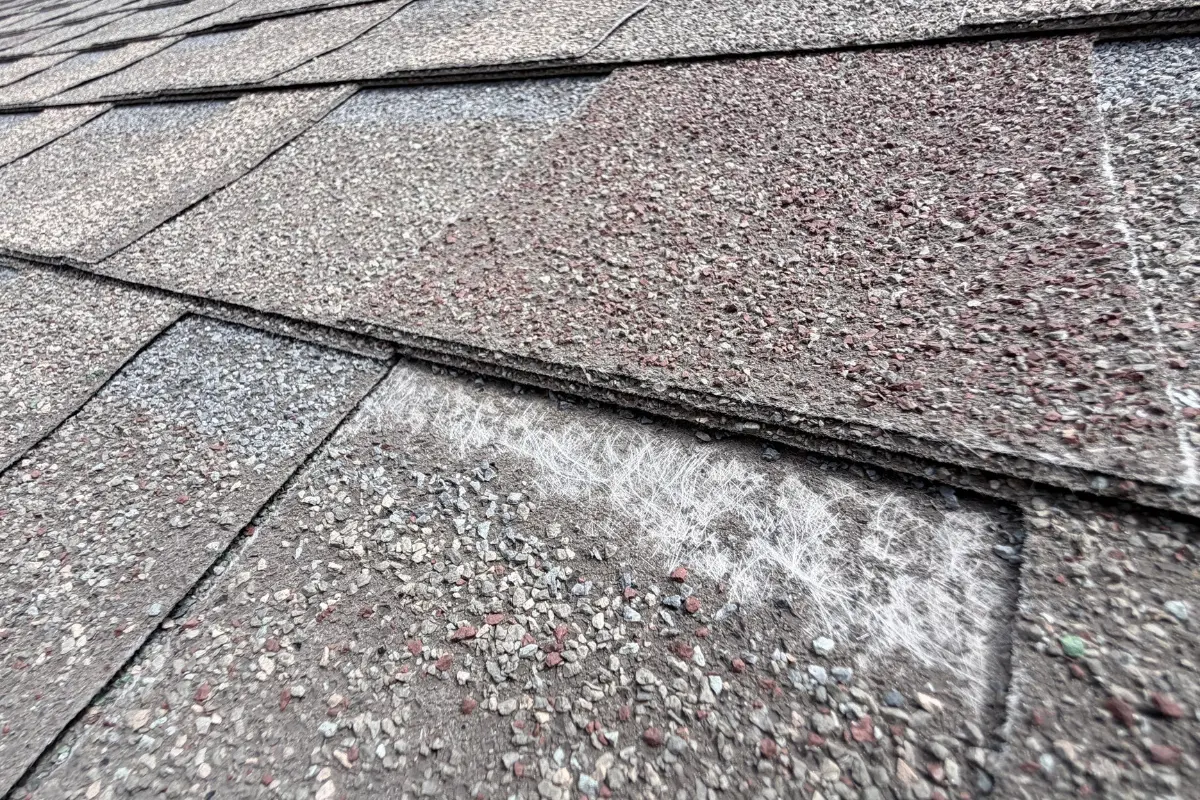 Close view of shingles where the granules have worn off and the white fiberglass mat shows through.