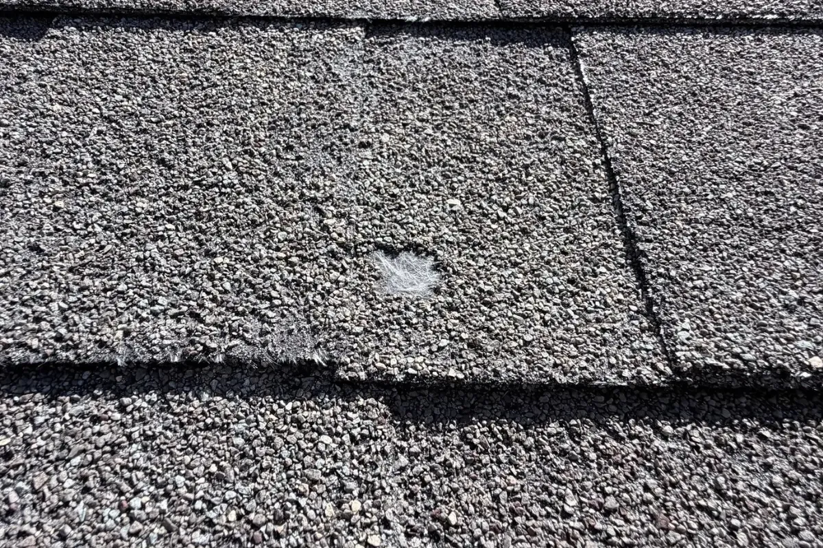 Inspection: a popped shingle blister in Indian Springs, San Antonio, TX