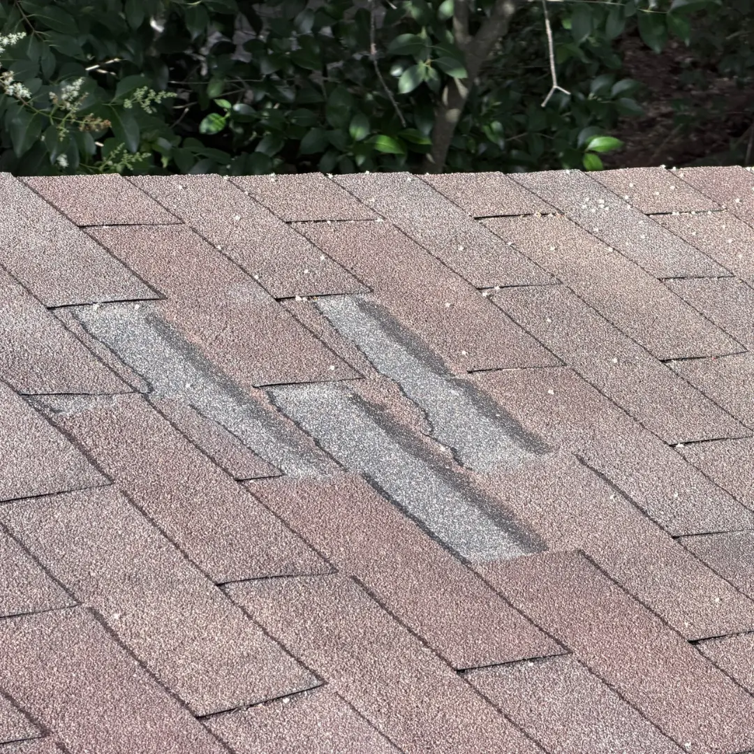 A roof slope with several shingle tabs torn away, leaving the lighter underlayment exposed.